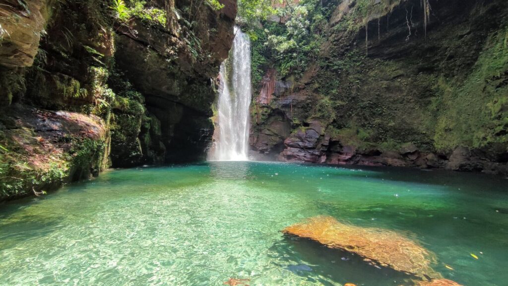 Seasonal Adventures in Brazil